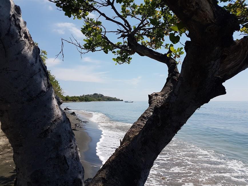 Taman Dewi Sri Villa Et Bungalow Pemuteran Kültér fotó